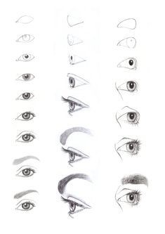 various types of eyes drawn in pencil