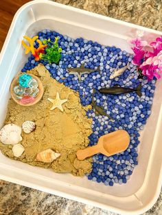 a plastic container filled with sand and sea animals