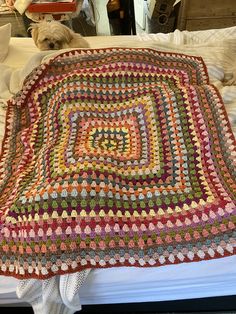 a dog laying on top of a bed next to a crocheted blanket