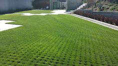 an outdoor area with green grass and steps