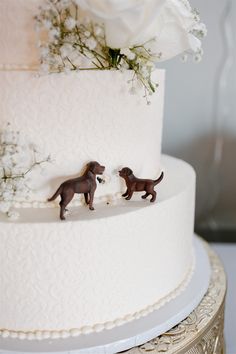 White wedding cake featuring dog toppers and cute bite out of cake detail. Photography by Leah Thomason Photography Dog Ideas At Wedding, 2 Tier Wedding Cake With Dogs, Dog Cake Wedding, Dog In A Wedding, Unique Wedding Ideas With Dogs, Simple Wedding Cake With Dog, Wedding Cake Dog Eating, Dog On Wedding Cake, Ways To Incorporate Dogs In Wedding