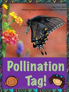 a book with an image of a butterfly on it and the title, pollination tag