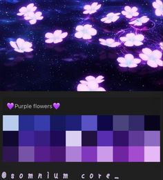 purple flowers are floating in the water with blue and pink hues on it's side