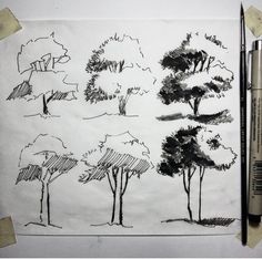 a drawing of trees on paper with markers