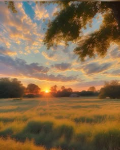 the sun is setting over an open field with tall grass and trees in the background