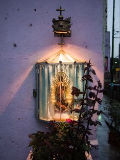 a small window with a statue on it next to plants and flowers in front of a purple wall