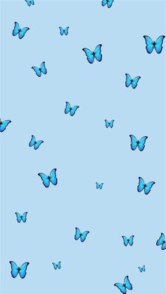 blue butterflies flying in the sky