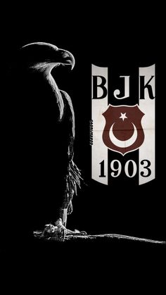 an eagle standing in front of a black background with the words bjk on it