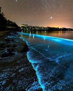 the stars are shining in the sky above the water and sand on the beach at night