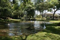 a small pond in the middle of a lawn with trees around it and houses on the other side