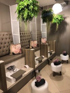 a hair salon with chairs and plants hanging from the ceiling