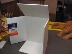 an orange tabby cat laying on top of a table next to a white box