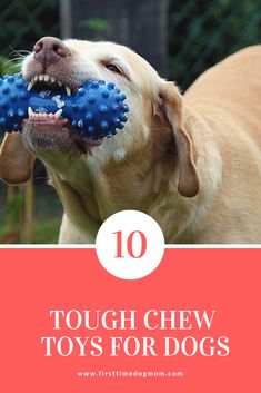 a dog chewing on a toy with the words tough chew toys for dogs over it