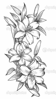 a black and white drawing of lilies on a branch with flowers in the background