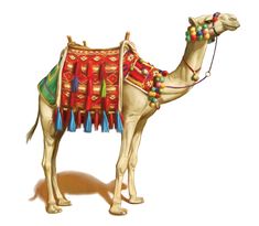 a camel with colorful decorations on it's back and neck, standing in front of a white background