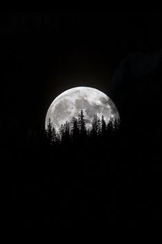 the full moon is seen over some trees in the dark night sky with no clouds