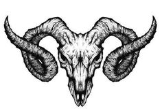 a ram skull with large horns on it's head, drawn in black and white