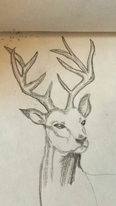 a drawing of a deer with antlers on it's head