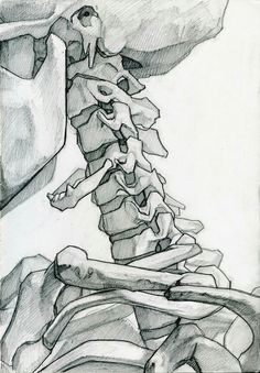 a drawing of a human skeleton with bones in the foreground and an object in the background