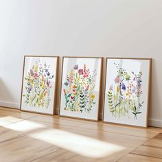 three framed paintings on the wall in an empty room with wooden floors and hard wood flooring