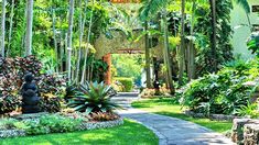 a garden with lots of trees and plants