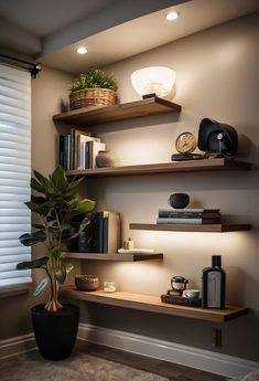 a room with some shelves and a potted plant