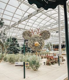 the inside of a building with plants and decorations on display in front of it's glass roof