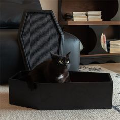 a black cat sitting in a box on the floor