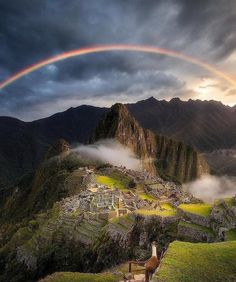 a llama standing on the side of a mountain with a rainbow in the background