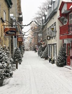 a snow covered street lined with buildings and christmas trees in the middle of winter time