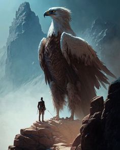 an eagle standing on top of a mountain next to a man