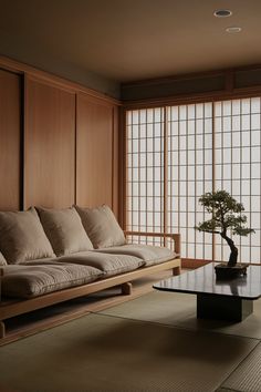 a living room filled with furniture and a bonsai tree