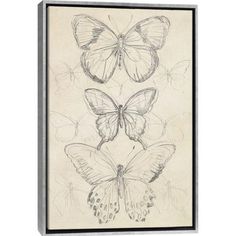 an image of three butterflies with one being drawn on the side and another drawing in the middle