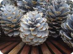 several pine cones sitting on top of a wooden table