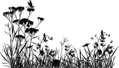 black and white silhouette of wildflowers with dragonflies flying over the flowers in the background