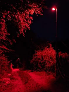 a red light shines on a dark path