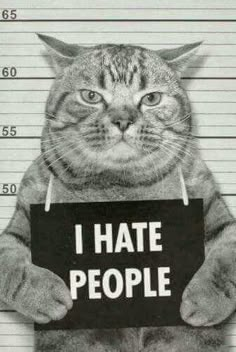 a mug shot of a cat holding a sign that says i hate people on it