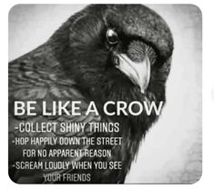 a black and white photo of a bird with the words be like a crow on it