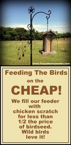 a sign that says feeding the birds on the cheap we fill our feeder chicken scratch for less than one hour