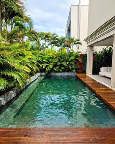 an outdoor swimming pool surrounded by greenery