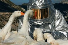 two ducks are dressed up in space suits