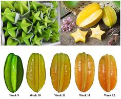 different types of star shaped fruits and vegetables