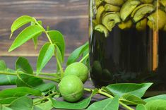 a jar filled with green fruit sitting on top of a leafy branch next to leaves