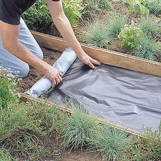 Backyard Walkway, Garden Vegetable, Garden Walkway, The Secret Garden, Garden Pathway, Backyard Projects, Patio Decorating, Lawn And Garden