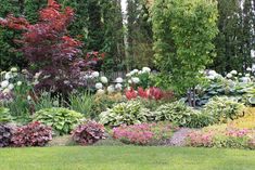 a garden with lots of flowers and trees in the background