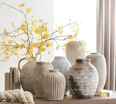 three vases with yellow flowers in them on a table next to a book and rope