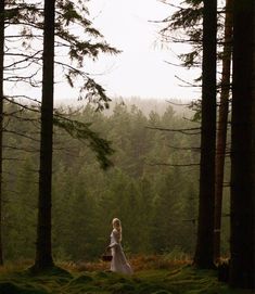 a woman is standing in the woods with her back to the camera and looking at trees