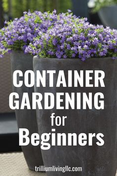 two large pots with purple flowers in them and the words container gardening for beginners