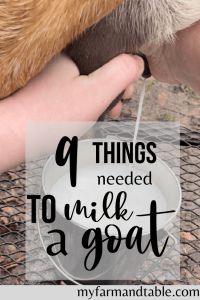 a dog drinking milk from a bucket with the words 10 things needed to milk a goat