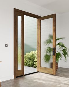 an open wooden door in a white room with a potted plant on the side